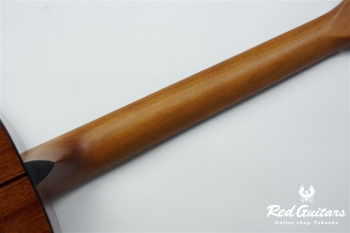 F-351I - Red Brown Sunburst